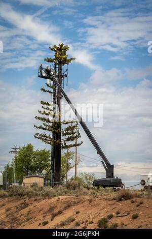 Tour de téléphone cellulaire déguisée comme un pin en train d'être construit par des ouvriers sur une grue. Banque D'Images