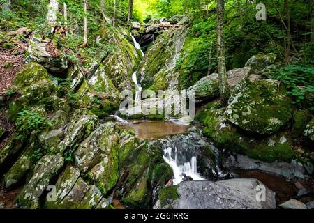 Vue d'ensemble pittoresque des chutes Dark Hollow au parc national Shenandoah en été Banque D'Images