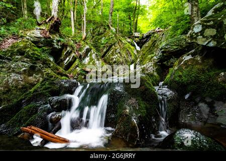 Vue d'ensemble pittoresque des chutes Dark Hollow au parc national Shenandoah en été Banque D'Images