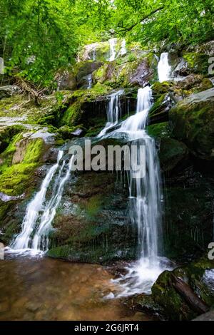 Vue d'ensemble pittoresque des chutes Dark Hollow au parc national Shenandoah en été Banque D'Images