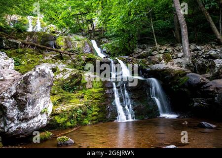 Vue d'ensemble pittoresque des chutes Dark Hollow au parc national Shenandoah en été Banque D'Images