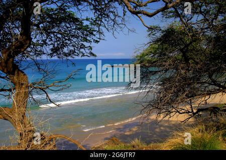 Les nageurs apprécient l'eau douce et les plages en pente de la côte de Kohala sur la grande île d'Hawaï. Des arbres et des branches encadrent la plage. Banque D'Images