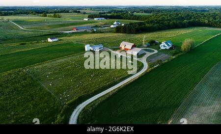 Vue aérienne de la ferme amish et des champs fertiles de maïs, de foin de luzerne et de pâturages parsemés de bétail, courbe dans la route de campagne, Hillsboro, Wisconsin, États-Unis Banque D'Images