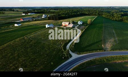 Vue aérienne de la ferme amish et des champs fertiles de maïs, de foin de luzerne et de pâturages parsemés de bétail, courbe dans la route de campagne, Hillsboro, Wisconsin, États-Unis Banque D'Images