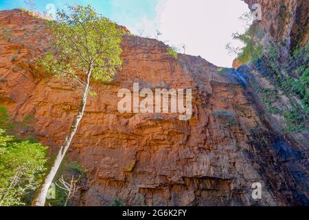 Vue imprenable sur la célèbre Emma gorge, El Questro, Gibb River Road, Australie occidentale, Australie occidentale, Australie occidentale, Australie Banque D'Images