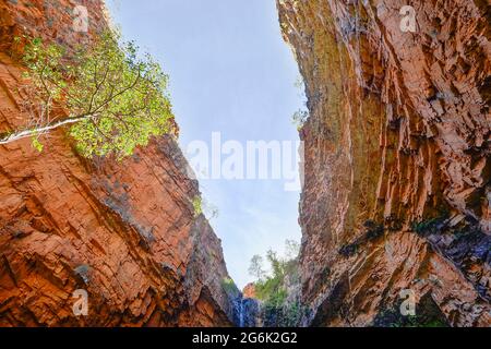 Perspective de coup de pied de la populaire Emma gorge, El Questro, Gibb River Road, Australie occidentale, WA, Australie Banque D'Images