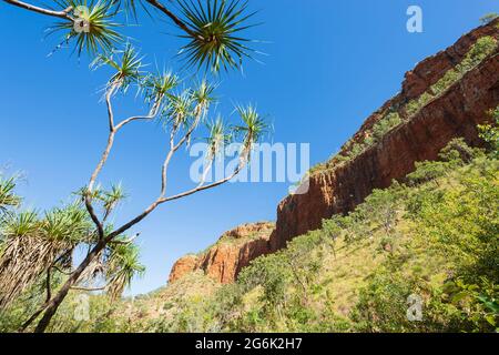 Vue panoramique sur les impressionnantes falaises rouges de la populaire Emma gorge, El Questro, Gibb River Road, Australie occidentale, Australie occidentale, Australie Banque D'Images