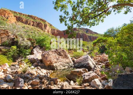 Rochers érodés le long du sentier de randonnée à la pittoresque Emma gorge, El Questro, Gibb River Road, Australie occidentale, Australie occidentale, Australie Banque D'Images