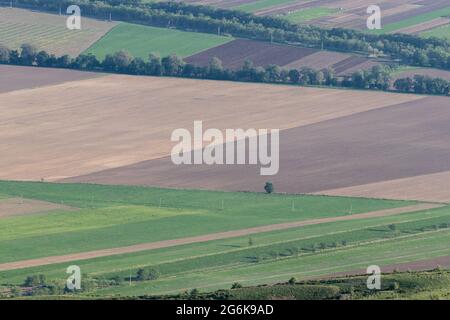 Vue sur les champs de semé dans l'industrie agricole. Les ceintures forestières se développent entre les départements Banque D'Images