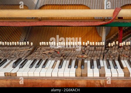 Vieux piano jeté avec des clés endommagées et des marteaux en feutre Banque D'Images