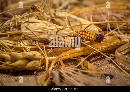 Détails à l'intérieur de l'Écomusée de Çò de Joanchiquet, à Vilamòs (Vallée de l'Aran, Catalogne, Espagne, Pyrénées) ESP: Detales del Ecomuseo Çò de Joanchiquet Banque D'Images