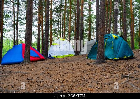 Camping tente sous la pinède Banque D'Images