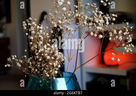 Fleurs de souffle de bébé séchées dans un vase bleu avec une lampe de lave rouge à l'arrière-plan Banque D'Images