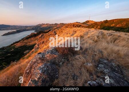 Lever de soleil sur Porthills, Christchurch, Aotearoa Nouvelle-Zélande. Les collines de Port sont un vestige vieux de 12 millions d'années du cratère du volcan Lyttelton. Vent, ra Banque D'Images