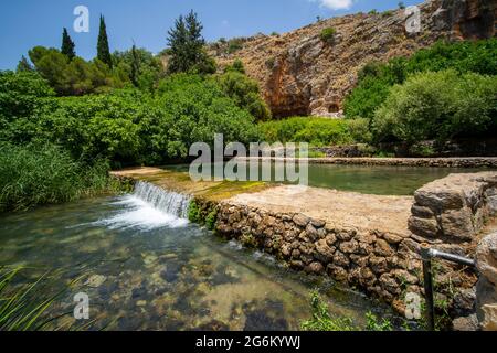 Banias Spring and Stream (Banias River ou Hermon River) plateau du Golan, Israël ce printemps est une des sources de la Jordanie Banque D'Images