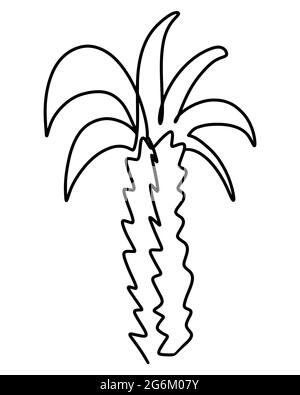 Dessin au trait de l'arbre de paume, illustration vectorielle. Arbre exotique tropical, une ligne. Illustration de Vecteur