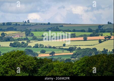 Le soleil d'été brille sur les champs du sud du Shropshire, vu de Pontesbury Hill Banque D'Images
