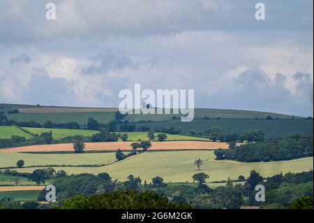 Le soleil d'été brille sur les champs du sud du Shropshire, vu de Pontesbury Hill Banque D'Images