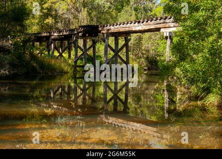 Chemin de fer Trestle Bridge, bois, réflexion, Moomin, Atherton Tablelands. Banque D'Images