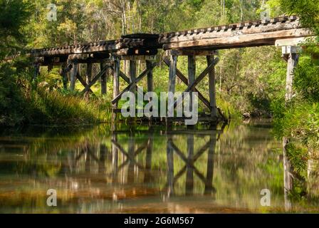 Chemin de fer Trestle Bridge, bois, réflexion, Moomin, Atherton Tablelands. Banque D'Images