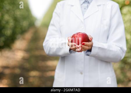 Le propriétaire d'entreprise, agronome, montre des fruits biologiques cultivés dans une ferme écologique Banque D'Images