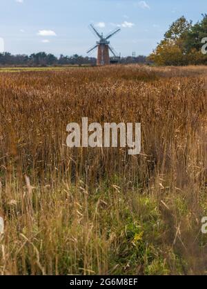 Horsey Windpump une pompe à vent ou un moulin à vent de drainage s'est occupé par National Trust à Horsey, sur les Broads près de Great Yarmouth, Norfolk, Angleterre Banque D'Images