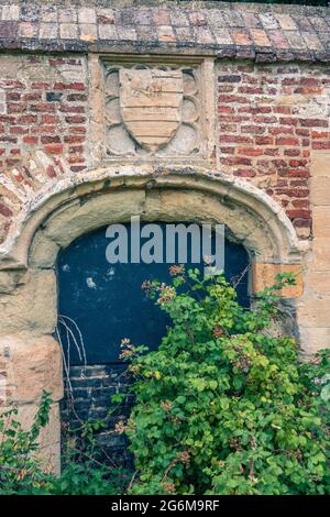 Porte cachée bricolée et peinte en bleu avec un ancien écusson au-dessus de la moitié dissimulé sous la forme d'une sous-croissance. Cambridge, Angleterre Banque D'Images