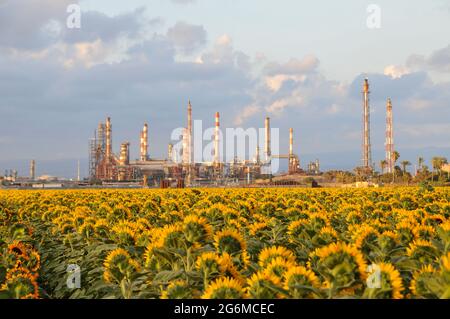 L'agriculture et les terres agricoles en face des Fils et des cheminées de l'usine pétrochimique photographiées à srael, baie de Haïfa Banque D'Images