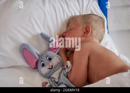 Mignon petit garçon caucasien dorme avec son jouet - joli lièvre. Photo de haute qualité Banque D'Images