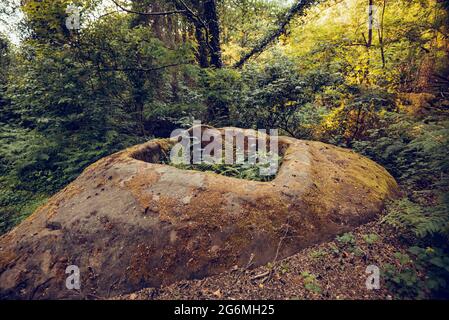 dolmens dans la forêt. jungle mystique sombre et nuageux avec ruines anciennes d'une partie de la roche. Banque D'Images