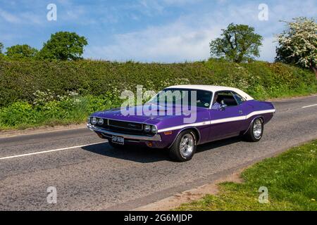 1970 70s coupé essence Dodge Challenger 7400cc violet des années 70, en route vers le spectacle de voiture Capesthorne Hall Classic May, Cheshire, Royaume-Uni Banque D'Images