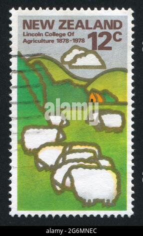 NOUVELLE-ZÉLANDE - VERS 1978: Timbre imprimé par la Nouvelle-Zélande, montre des moutons de pâturage, vers 1978 Banque D'Images