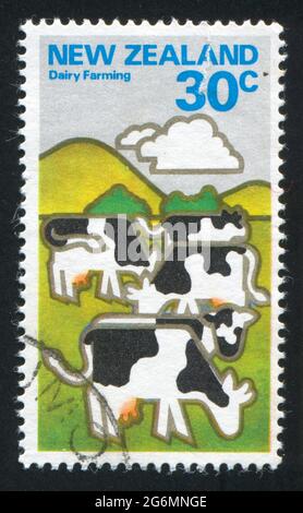 NOUVELLE-ZÉLANDE - VERS 1978: Timbre imprimé par la Nouvelle-Zélande, montre la vache de bétail, vers 1978 Banque D'Images