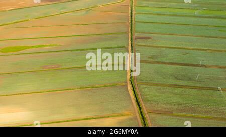 Terrain ou paysage de champ vert en vue aérienne. Champ vert, culture, plante agricole. Banque D'Images