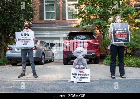 Chevy Chase, MD - JUILLET 6 : PETA remet les signatures de 179,000 Monkey Bearing à la maison du directeur des NIH, Francis Collins, pour exiger la fin des expériences des NIH Elisabeth Murray sur les singes à Chevy Chase, Maryland, le 7 juillet 2021. Crédit : Patsy Lynch/MedaPunch Banque D'Images