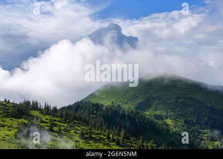 Paysage avec hautes montagnes. Forêt brumeuse des pins. Majestueux jour d'été. La brume matinale. Un endroit pour se détendre dans le parc Carpathian. N Banque D'Images