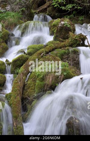 Mountain creek coulant avec de petites cascades et de la mousse verte, Berchtesgaden, Bavière, Allemagne Banque D'Images