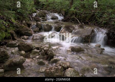 Mountain creek coulant avec de petites cascades, Berchtesgaden, Bavière, Allemagne Banque D'Images
