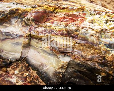 Vue rapprochée des échantillons colorés de bois pétrifié dans le parc national de la forêt pétrifiée, Escalante, Utah, États-Unis Banque D'Images