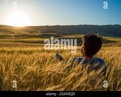 champ de blé jaune, jeune homme avec des lunettes couché contre le soleil dans un champ de blé jaune, foyer sélectif Banque D'Images