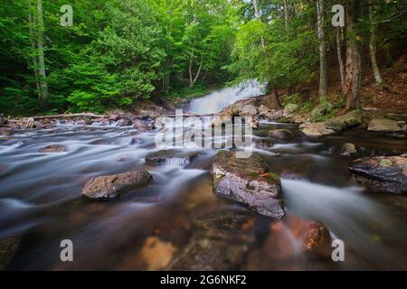 Fish Hatchery Falls est situé dans le district des lacs de Muskoka, près d'Ullswater Onario Canada. Banque D'Images