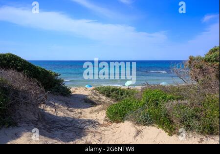 Plage d'Apulia : réserve naturelle de Torre Guaceto en Italie. Vue sur la côte et les dunes avec maquis méditerranéen. Banque D'Images