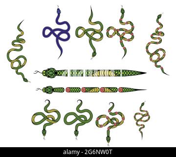 Ensemble d'éléments pour créer un dessin avec un serpent, serpents dans différentes poses intéressantes. Éléments pour créer un motif de forme curly pour illustrat Illustration de Vecteur