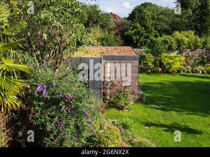 Travail à la maison jardin studio avec verrière de vie verrière et parement noir et cèdre, dans un jardin de banlieue à Pinner, Middlesex, Londres Royaume-Uni. Banque D'Images