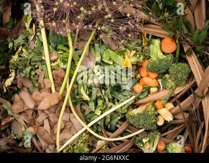 Déchets végétaux et pelures sur un tas de compost Banque D'Images