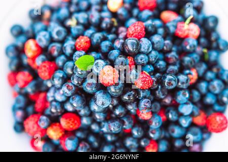 Bleuets et fraises sauvages dans un bol blanc. Fruits juteux de saison d'été. Banque D'Images