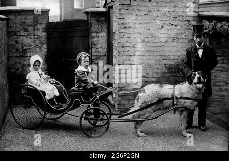 AJAXNETPHOTO. 1890 (ENVIRON). EMPLACEMENT INCONNU. - DIMANCHE MEILLEUR - DEUX ENFANTS BIEN HABILLÉS POSENT AVEC UN MAÎTRE DANS UN CHIEN TIRÉ EN CALÈCHE MINIATURE DANS LA COUR ARRIÈRE. PHOTOGRAPHE:INCONNU © IMAGE NUMÉRIQUE COPYRIGHT AJAX VINTAGE PICTURE LIBRARY SOURCE: AJAX VINTAGE PICTURE LIBRARY COLLECTION REF:PR210607 1 Banque D'Images