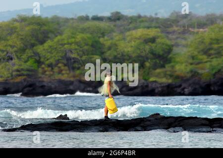 Le pêcheur examine les eaux pour une école de poissons alors qu'il se trouve sur une corniche de lave noire sur la Grande île d'Hawaï. Il porte un seau jaune et f Banque D'Images