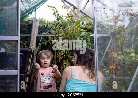 Un enfant et sa mère avec des tomates maison Banque D'Images