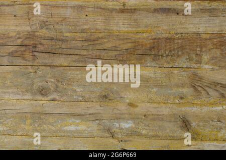 Texture de pin de bois avec noeuds Banque D'Images